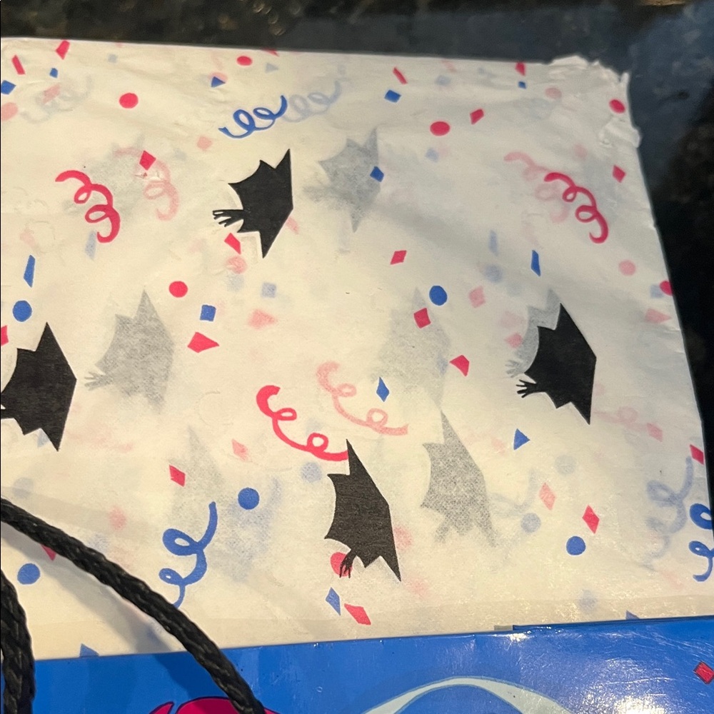 Graduation Gift Bags with Tissue - Picture 3 of 3